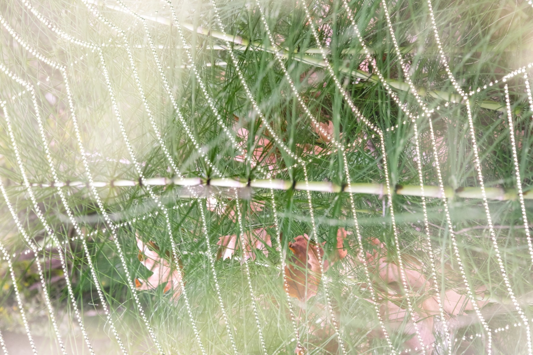 ImageSwapp 4