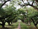 f1048 kurt joergensen oak alley