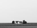 m6026 rene jensen lonely house