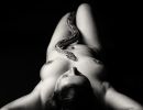 m5004 stefan mehl ludvigsen snake woman